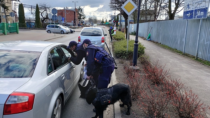 Dwóch funkcjonariuszy SOK z psem rozmawia z kierowcą samochodu.