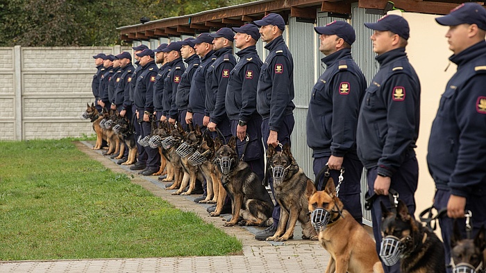 Szpaler z kilkunastu funkcjonariuszy SOK i ich psów.