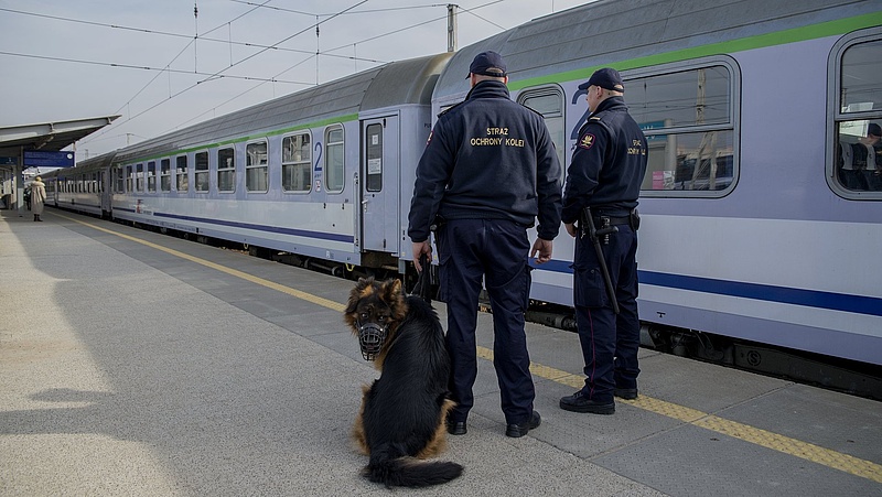 Straż Ochrony Kolei z psem na peronie. Obok pociąg fot. Włodzimierz Włoch