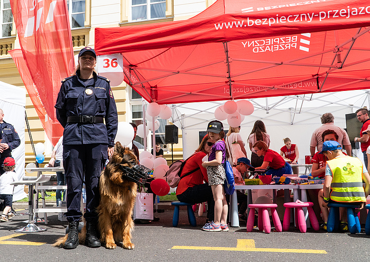 Campaign stand- an officer with a dog.