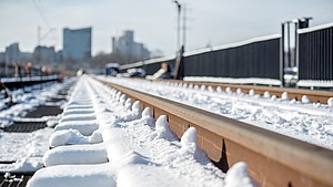 Tory w zimowej odsłonie