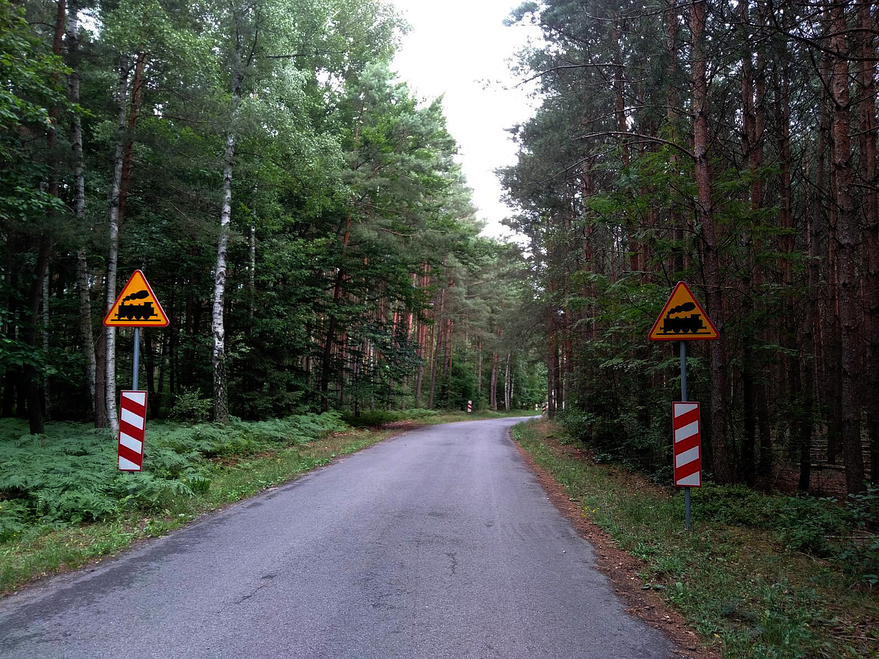 Widok na znaki A-10 przy drodze w środku lasu.